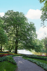 Fototapeta na wymiar Pathway in park with green trees and beautiful flowers on sunny day. Spring season
