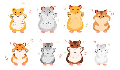 Hamster breeds. Cute little pets, different types, home rodents, funny fluffy animals various sizes and colors, cartoon flat style comic characters, swanky pet vector isolated mascot set