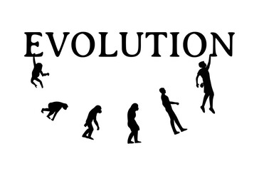 evolution to climbing © Larissa