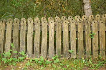 An old worn-out and crooked picket fence in the village