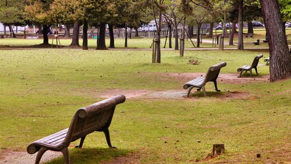 Nara Park in Japan