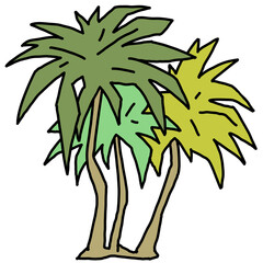 Palm tree with green leaves. Exotic tropical jungle hot summer holiday, Travel outdoor to south in nature forest to spa relax. Hand drawn retro vintage illustration. Old style cartoon drawing.