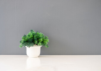 Fake plants in white pots on a white background with cement floor backdrop, decorated in coffee shops and offices.