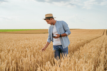 Naklejka na ściany i meble Happy farmer using mobile phone while standing in his growing wheat field. 