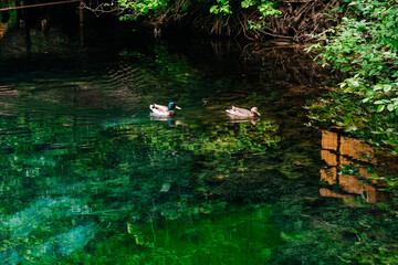 Blue Lake in Kazan. Ducks on the lake. Beautiful, pure azure water. Beautiful background.