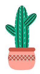 Cactus Pot Illustration