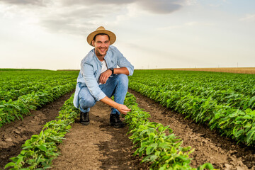 Happy farmer spending time in his growing  soybean field. © inesbazdar