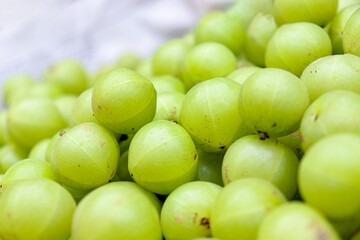 gooseberry stock on shop for sell