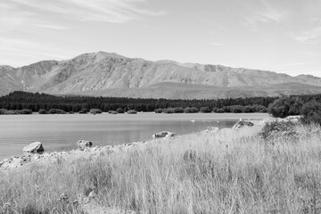 Lake Tekapo landscape in New Zealand. Black and white retro photo style.