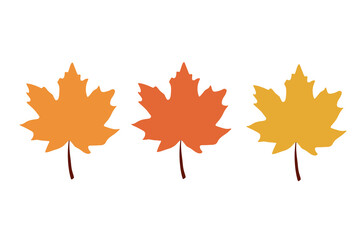 Set of colorful maple leaves. Cartoon style. Vector design.