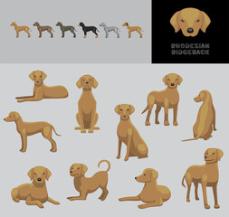 Dog Rhodesian Ridgeback Cartoon Vector Illustration Color Variation Set
