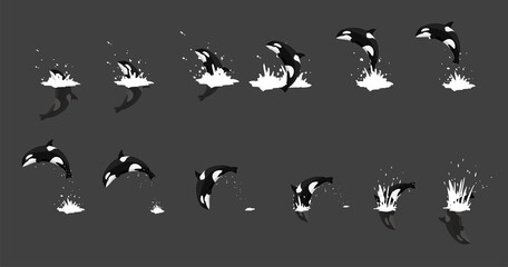 Animal Animation Orca Jumping Cartoon Vector