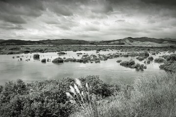 Marshes and wetlands of New Zealand. Black and white vintage photo style.