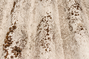 Old dangerous asbestos roof. Asbestos dust in the environment. Health problems.closeup.