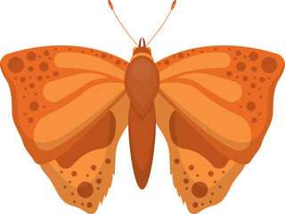 Butterfly clipart design illustratio
