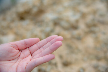 We found microplastics contaminating food. And we show off those microplastics in our hands.