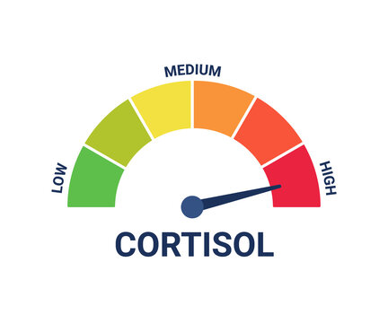 High cortisol hormone level on measuring scale, stress test. Control health, care and safe. Arrow on extreme level cortisol. Vector illustration