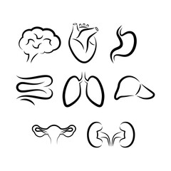 Human internal organ simple icon set vector. Brain, heart, stomach, intestine, lungs, liver, ovaries, kidneys black icons isolated on a white background. Human body internal organs drawing