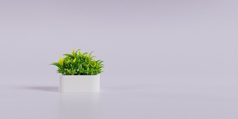 Potted Plant And White Background 3d Render