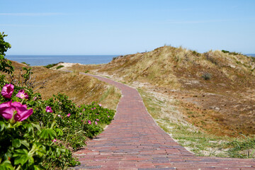 Langeoog Panorama