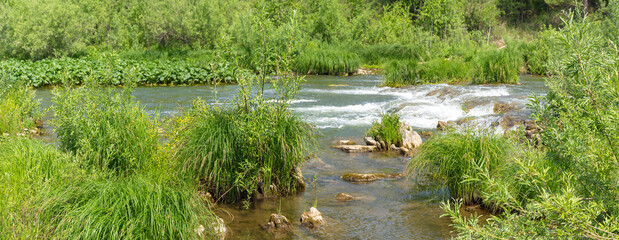 Rapids on the small taiga river Suenga