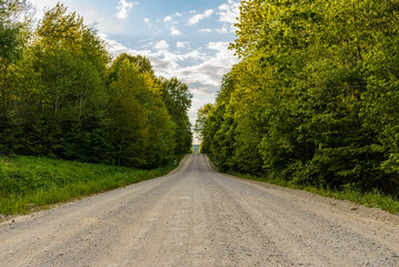 Fototapeta na wymiar Empty Sandy country road near the forest,fluffy clouds blue sky,summer evening landscape.