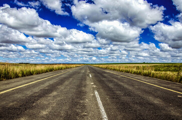 Fototapeta na wymiar road in the field with clouds