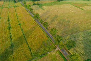 Prosta asfaltowa droga wśród łąk i pól uprawnych pokrytych suchą, żółtą trawą i balotami...
