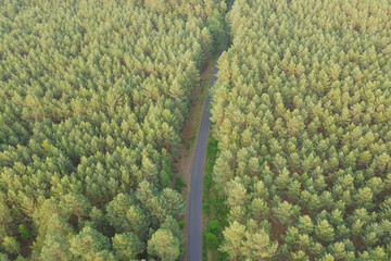 Wąska, asfaltowa droga przebiegająca przez zielony, gęsty las. Widok z góry, zdjęcie wykonano...
