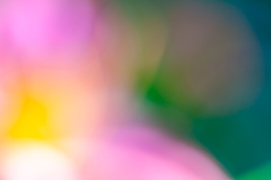 Concept de fond multicolore - d&eacute;grad&eacute; de couleurs naturelles par flou artistique - hyper macro - hyper flou
