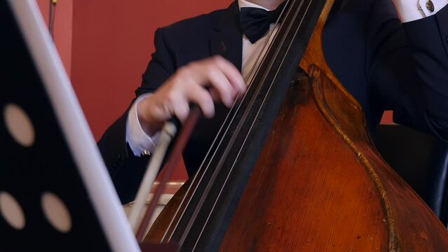 Closeup of male musician playing double basse in symphony orchestra