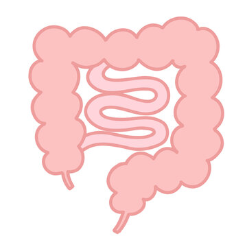 S字結腸 Images Browse 8 Stock Photos Vectors And Video Adobe Stock