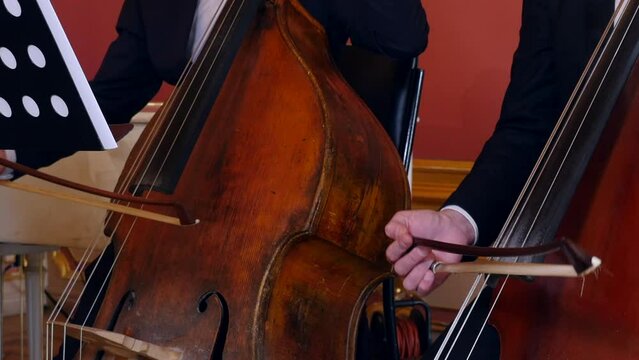 Closeup of two bass players playing double basses in symphony orchestra