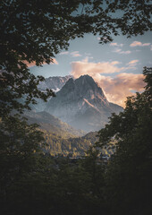 The Zugspitze at sunset through the leaves