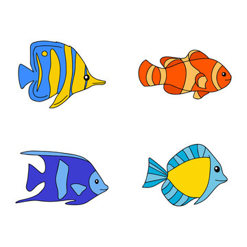 Cute sea aquarium blue fish colorful on a white background. Fish marine animal. Isolated cartoon vector illustration
