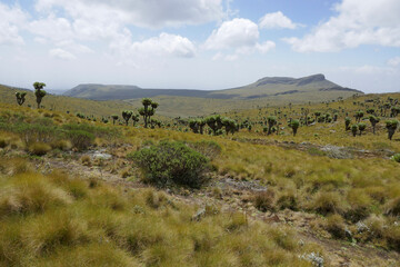 Fototapeta na wymiar Scenic view of rock formations against a mountain background at Ol Doinyo Lesatima Dragons Teeth in the Aberdares, Kenya