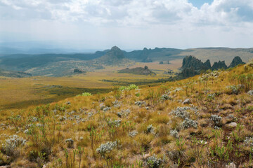 Scenic view of rock formations against a mountain background at Ol Doinyo Lesatima Dragons Teeth in the Aberdares, Kenya