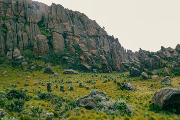 Fototapeta na wymiar Scenic view of rock formations against a mountain background at Ol Doinyo Lesatima Dragons Teeth in the Aberdares, Kenya