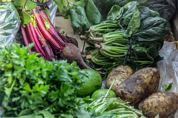organic and freshc vegetables on the farmers market
