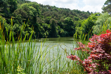 Ataturk kent ormani in Istanbul. Ataturk City Forest. Green spaces in Istanbul city. Green parks or...