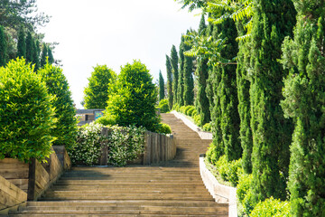 Ataturk kent ormani in Istanbul. Ataturk City Forest. Green spaces in Istanbul city. Green parks or recreational areas in city.