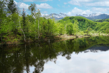 乗鞍高原・まいめの池周辺のさわやかな6月の風景