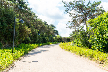 Ataturk kent ormani in Istanbul. Ataturk City Forest. Green spaces in Istanbul city. Green parks or...