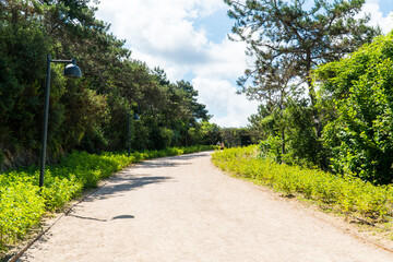Ataturk kent ormani in Istanbul. Ataturk City Forest. Green spaces in Istanbul city. Green parks or...