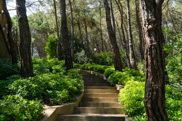 Ataturk kent ormani in Istanbul. Ataturk City Forest. Green spaces in Istanbul city. Green parks or...