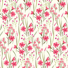 Seamless floral pattern with a romantic spring meadow, various wild plants on a white field. Cute ditsy print, elegant botanical background with hand drawn flowers, leaves, herbs. Vector.