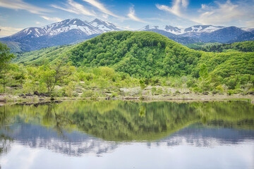 Fototapeta na wymiar 乗鞍高原・まいめの池周辺のさわやかな6月の風景