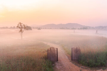 생태공원의 일출