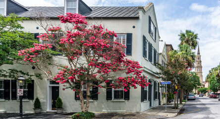 Fototapeta premium Charleston Church Street 2