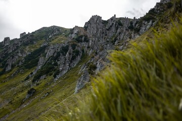 landscape in the mountains